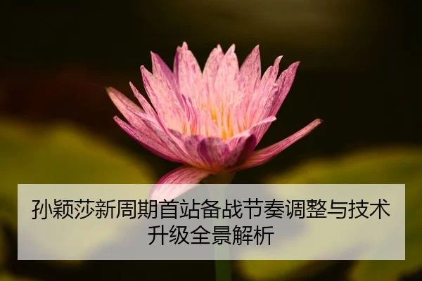 孙颖莎新周期首站备战节奏调整与技术升级全景解析